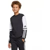 Adidas Squadra 25 Sweat Crew Jr JE2773 džemperis