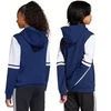 Adidas Squadra 25 Sweat Hoody Jr JD4804