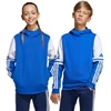 Adidas Squadra 25 Sweat Hoody Jr JD4806