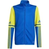 Adidas Squadra 25 Training Jr JP3150 džemperis
