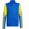 Adidas Squadra 25 Training Jr JP3150 džemperis