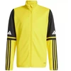 Adidas Squadra 25 Training Jr JP3395 džemperis