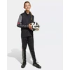 adidas Squadra 25 Training Jr kelnės JD1628