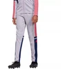 adidas Squadra 25 Training Jr Kelnės JP3369