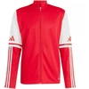 Adidas Squadra 25 Training M džemperis JD2979