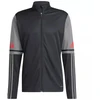 Adidas Squadra 25 Training M JD1630 džemperis