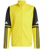Adidas Squadra 25 Training M JP3388 sportinis džemperis
