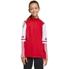 Adidas Squadra 25 Training Top Jr JD3026 džemperis