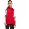 Adidas Squadra 25 Training Top Jr JD3026 džemperis