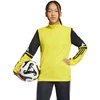 Adidas Squadra 25 Training Top Jr JP3380 džemperis