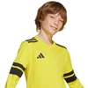adidas Squadra 25 vaikiški marškinėliai ilgomis rankovėmis geltoni JJ0043
