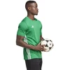 adidas Stalo 23 Marškiniai M IA9147