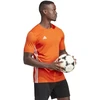 adidas Stalo 23 Marškiniai M IB4927