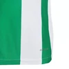 Adidas Striped 24 Jr marškinėliai IW2138