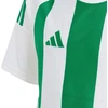 Adidas Striped 24 Jr marškinėliai IW2138