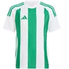 Adidas Striped 24 Jr marškinėliai IW2138