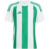 Adidas Striped 24 Jr marškinėliai IW2138