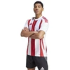 Adidas Striped 24 JSY M marškinėliai IW2142