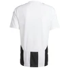 Adidas Striped 24 JSY M marškinėliai IW2143