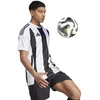 Adidas Striped 24 JSY M marškinėliai IW2143