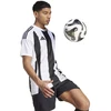 Adidas Striped 24 JSY M marškinėliai IW2143