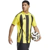 Adidas Striped 24 JSY M marškinėliai IW2146