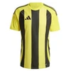 Adidas Striped 24 JSY M marškinėliai IW2146