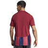 Adidas Striped 24 JSY M marškinėliai IW2149
