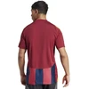 Adidas Striped 24 JSY M marškinėliai IW2149