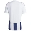 Adidas Striped 24 JSY M Marškinėliai IW4554