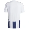 Adidas Striped 24 JSY M Marškinėliai IW4554