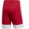 adidas Tastigo 19 Šortai M DP3681