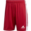 adidas Tastigo 19 Šortai M DP3681