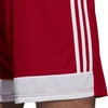 adidas Tastigo 19 Šortai M DP3681