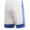 Adidas Tastigo 19 šortai M FI6355