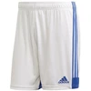 Adidas Tastigo 19 šortai M FI6355