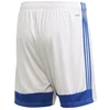 Adidas Tastigo 19 šortai M FI6355