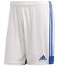 Adidas Tastigo 19 šortai M FI6355