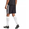 adidas Tastigo 25 M JN7155 šortai