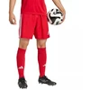 adidas Tastigo 25 M JN7157 šortai