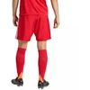 adidas Tastigo 25 M JN7157 šortai
