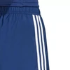 adidas Tastigo 25 M JN7158 šortai