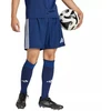 adidas Tastigo 25 M JN7158 šortai