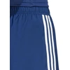 adidas Tastigo 25 M JN7158 šortai