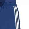adidas Tastigo 25 M JN7158 šortai