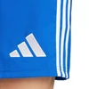 adidas Tastigo 25 M JN7159 šortai