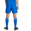 adidas Tastigo 25 M JN7159 šortai