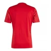 adidas Team Icon 25 M marškinėliai JM8360