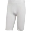 Adidas Techfit Aeroready trumpos sportinės tamprės vyrams M HP0611 šortai