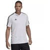 adidas TIRO 19 TR JSY M DT5288 futbolo marškinėliai
